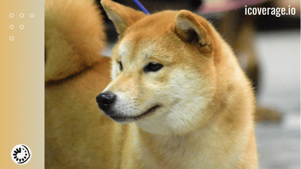 Why Shiba Inu may not be dead